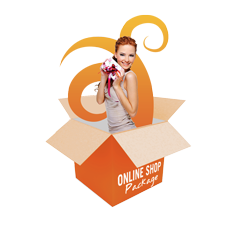 Website Design Package Online Shop